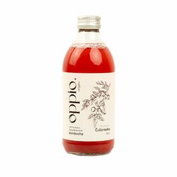 Kombucha Boom Berry 330ml oppio.