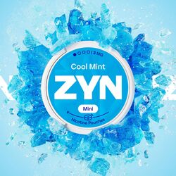 ZYN Cool mint 3mg MNT MCR 15 min