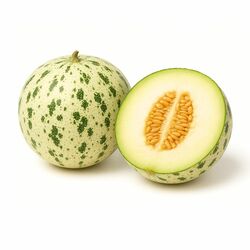 Melón Dino kal.5, I.Tr