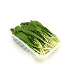 Cesnak medvedí balený 100g