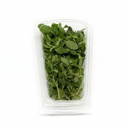 Balené Oregano 30g