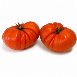 Paradajka Marmande červená, I. Tr.