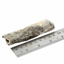 Fish4dogs Dental Sea Jerky : prúžky. 100g