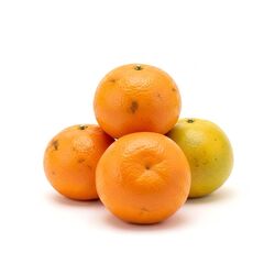Mandarinka Satsumas ukl. kal.1-1xx VÝPREDAJ