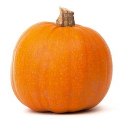 Tekvica Halloween 6-10kg, I. trieda