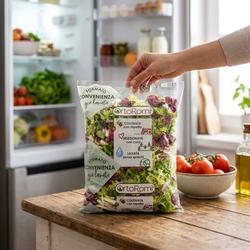 Šalát mix Ristoro 500 g VÝPREDAJ