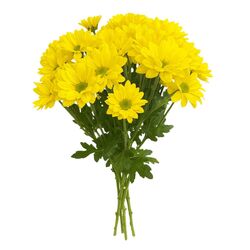 Kytica čerstvých kvetov mix, Chryzantémy 3ks