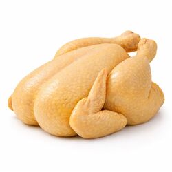 Kurča Zlaté cca 1,45kg Hyza