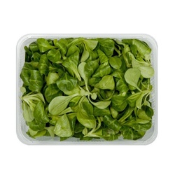 Šalát poľný - Valerián 125g, I.trieda