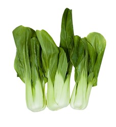Šalát Shanghai Pak Choi, I.trieda