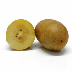 Kiwi zlaté Gold kal.30-36 ,I.Tr