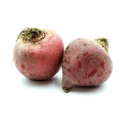 Cvikla Chioggia, I.trieda
