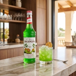 Sirup Kiwi 0,7l Monin