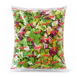 Šalát mix Gartner 1000g