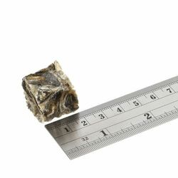 Fish4dogs Dental Sea Jerky : rybičky. 115g