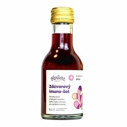 Zázvor Imuno šot Echinacea &amp;amp; Baza 100ml Herbert