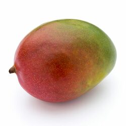 Mango kal.6, I.trieda