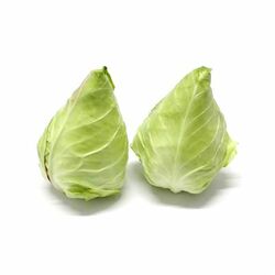 Kapusta biela špicatá kg, I.trieda