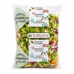 Šalát mix Primavera 500 g